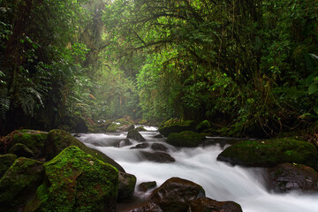 Costa Rica river landscape, La Paz Waterfall near the Vera Blanca moutain. Green tropic forest in Costa Rica, rainny day in nature. Travel in Central America.