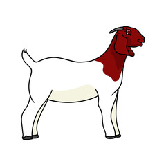 boer goat cartoon standing vector illustration