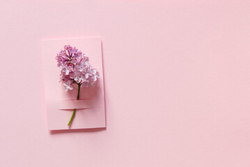 Beautiful flower arrangement. Delicate branch of lilac, free space for text on a pink pastel background. Wedding, birthday. Valentine's day, mother's day. Top view, copy space
