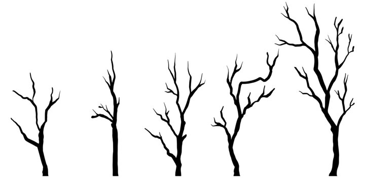 Doodle sketch style of Naked trees silhouettes cartoon hand drawn illustration for concept design.