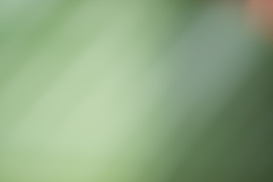abstract background. blurred background color.