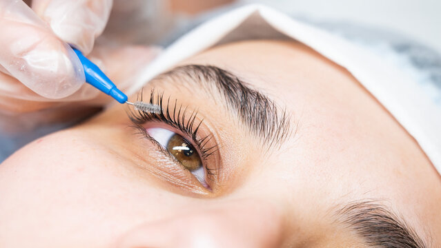 The master combs the eyelashes of the client after the lamination procedure. 