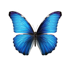 Blue beautiful butterfly on a transparent background. Generative AI