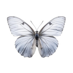 Grey beautiful butterfly on a transparent background. Generative AI