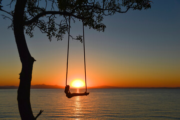 the swing hanging from the tree and the newly born sun give peace to people