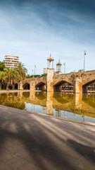 Bridge acroos the Turia park in Valencia, Spain