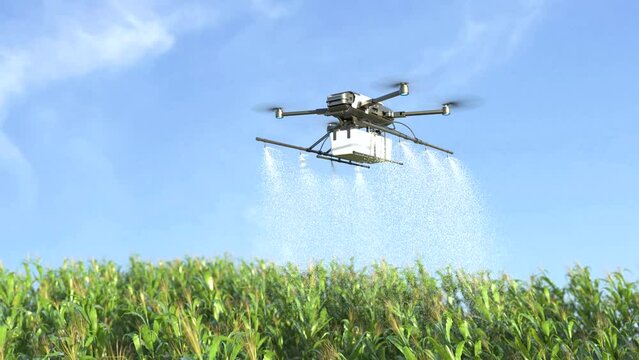 Drone spraying fertilizer on corn fields, Smart farming innovation
