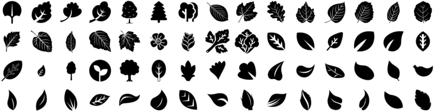 Set Of Foliage Icons Isolated Silhouette Solid Icon With Summer, Plant, Nature, Spring, Leaf, Foliage, Tropical Infographic Simple Vector Illustration Logo