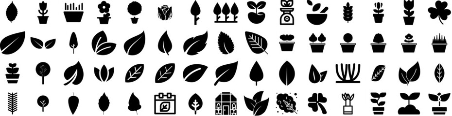 Set Of Leaves Icons Isolated Silhouette Solid Icon With Leaf, Green, Plant, Nature, Foliage, Isolated, Tree Infographic Simple Vector Illustration Logo