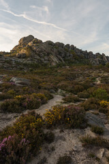 Fototapeta na wymiar Calcedonia, Gerês mountain range, Terras de Bouro, Braga district, Portugal