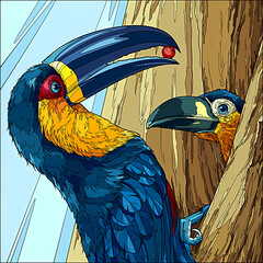 Illustration of toucan in the jungle