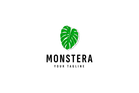 monstera leaf logo vector icon illustration