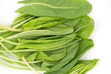 Fresh raw green sorrel (Rumex acetosa) leaves lie on a white plate for cooking