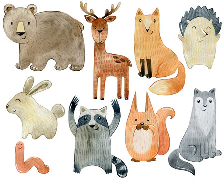 Woodland Animals Set. Watercolor Illustration. Cute cartoon characters.
