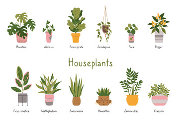 Trendy potted plants set with titles, cartoon style. Indoor houseplants for interior. Urban Cozy home gardening hobby. Modern isolated vector illustration, hand drawn, flat