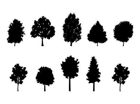 Set of tree silhouettes illustration. Vector realistic tree silhouettes drawings on a white background.