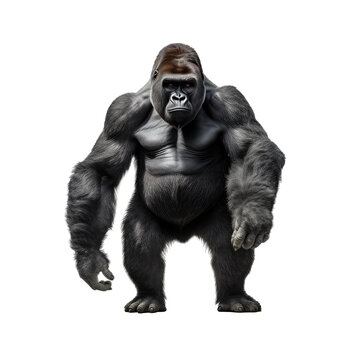 ape standing up