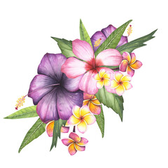 Pink hibiscus, plumeria flower isolated on white background. Watercolor hand drawn botanical illustration for design