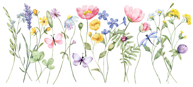 Watercolor wildflowers border banner for stationary, greetings, etc. floral decoration. Hand drawing.	
