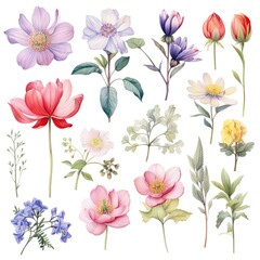 set of watercolor flowers, Generative AI