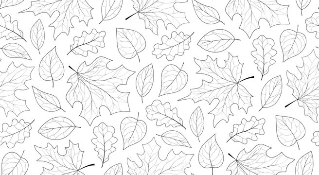 Seamless pattern with various leaves, autumn leaves line art