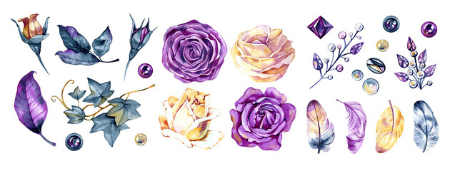 Watercolor floral set. Purple, white roses, feathers and leaves, isolated on white background. Vintage botanical illustration. Dark moody color palette. Victorian style. - 606377084