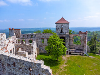 Fototapeta na wymiar Aerial view landscape, Poland Tenczyn Castle in Rudno. Drone photo, ruins, brick, facade, park.