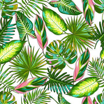 Seamless pattern with tropical colorful leaves on a white background. Palm leaves, monstera, calathea stromantha, Philodendron, dieffenbachia, alocasia. Cartoon style. Vector illustration.