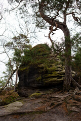 View from Rauenstein mountain in Saxon Switzerland. Germany. Europe