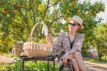 Cute thai girl with orange basket sitting under orange tree in orange farm in Chiang Mai, Thailand