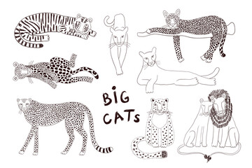 Big cats isolated collection, black white. Lion, tiger, leopard, jaguar, panther, cougar, cheetah. Hand drawn vector illustration. Line art style design. Animal characters, wildlife clipart elements