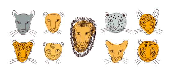 Wall murals Illustrations Big cats faces isolated collection, abstract shapes. Lion, tiger, leopard, jaguar, panther, cougar, cheetah. Hand drawn vector illustration. Line art style design. Animal characters, wildlife clipart