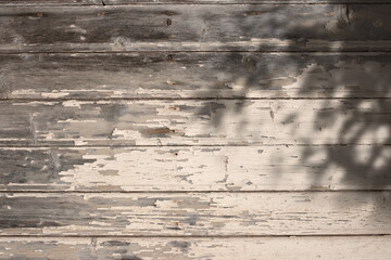 Sepia background with plant shadows on weathered wooden wall for a product placement. Summer...