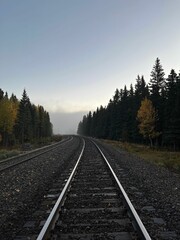 Fototapeta premium Vertical shot of the empty train tracks alongside the forest in Banff National park Canada