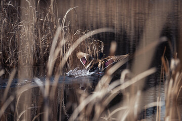 River Landing - Spring 2021