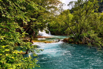 Scenic view of Plitvice lakes surrounded by dense green trees in Croatia