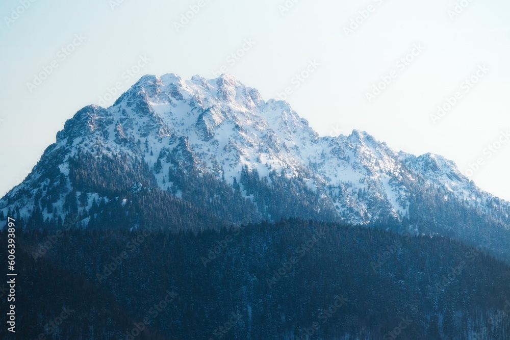 Poster chilling view of a mountain landscape and forest during winter