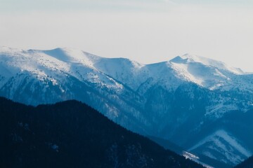 Chilling view of a mountains landscape and forest during winter