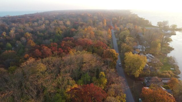 Aerial overview captures the vibrant colors of the changing leaves as they blanket the landscape in shades of red, orange, and yellow during fall season while a car is going through the road