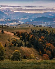 Vertical shot of a scenic village landscape in autumn season