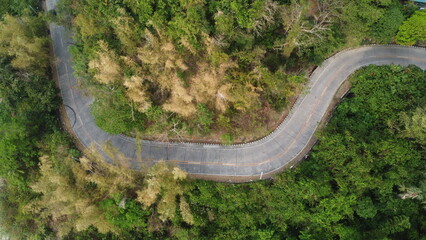 Road through the forest. Aerial view of an asphalt road with turns.