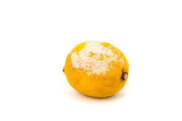 Rotten lemon with a mold on a white background