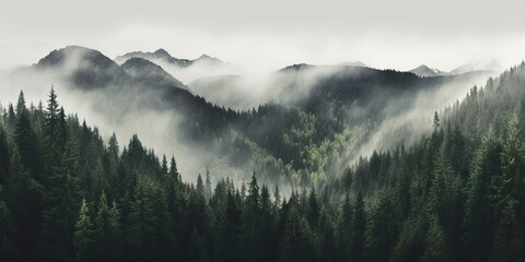 AI Generated. AI Generative. Photo realistic illustration of mountains forest fog morning mystic. Graphic Art - obrazy, fototapety, plakaty