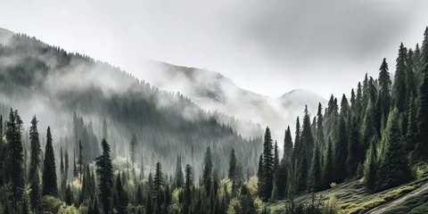 Fotobehang Mistig bos AI Generated. AI Generative. Photo realistic illustration of mountains forest fog morning mystic. Graphic Art