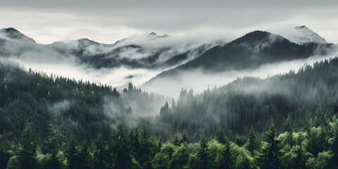 AI Generated. AI Generative. Photo realistic illustration of mountains forest fog morning mystic. Graphic Art