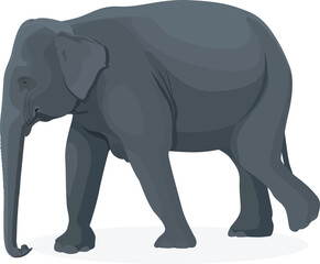 Fototapeta na wymiar Walking elephant isolated on a white background