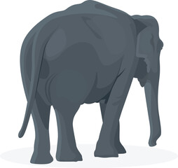Fototapeta premium Back view of a walking elephant isolated on a white background