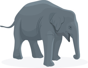 Obraz premium Side view of a walking elephant isolated on a white background