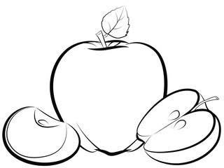 Apple whole and sliced isolated on a white background