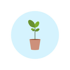 Small sprout in a pot. Vector illustration.